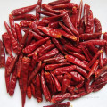 100% real dried red paprika chilli from China